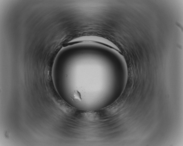 X0000095960615200801111403