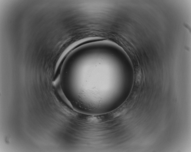 X0000095960616200801111403