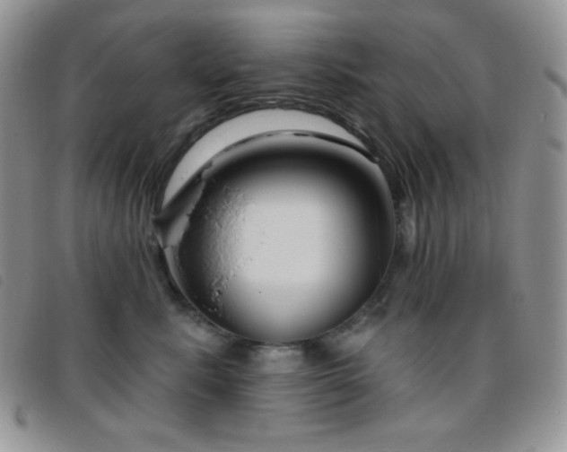 X0000095960619200801111403