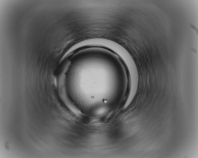 X0000095960620200801111403