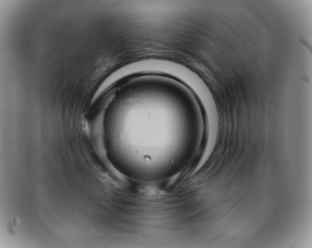 X0000095960621200801111403