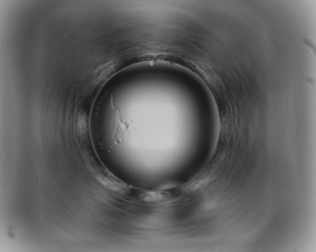 X0000095960623200801111403