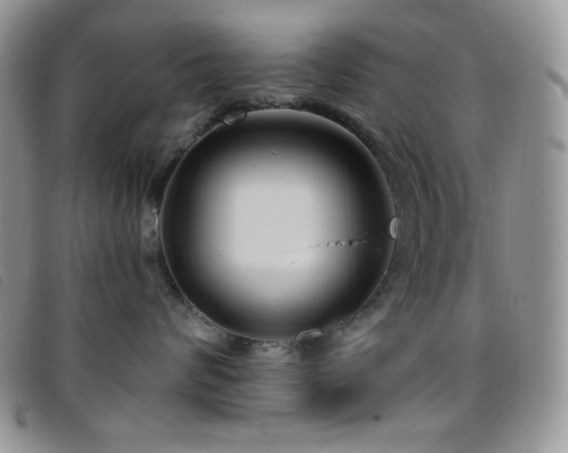X0000095960624200801111403