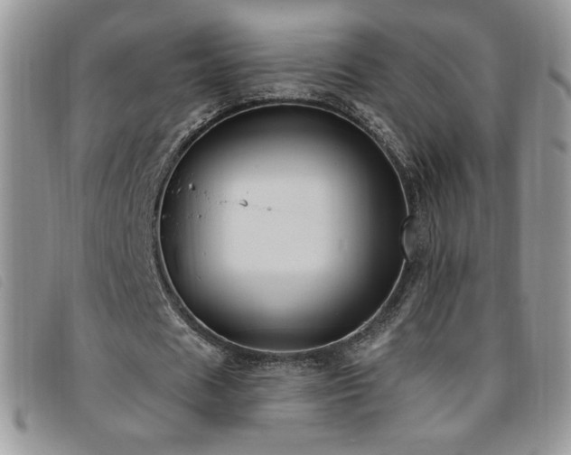 X0000095960625200801111402