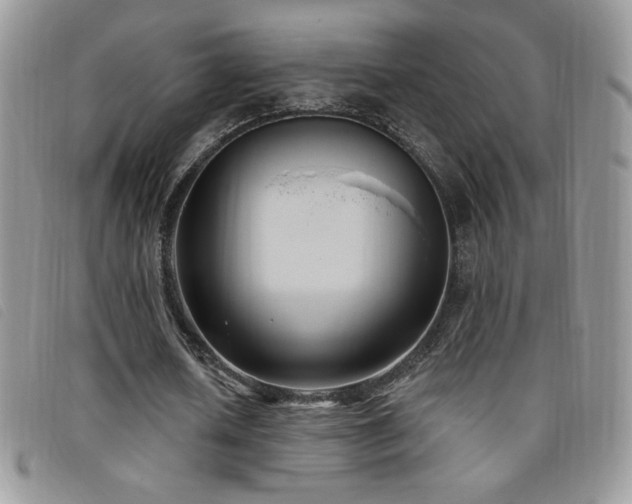 X0000095960626200801111402