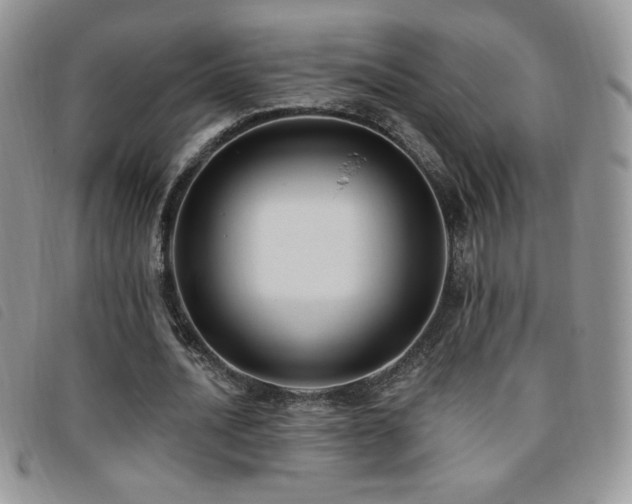 X0000095960628200801111403