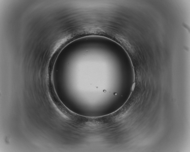 X0000095960630200801111403
