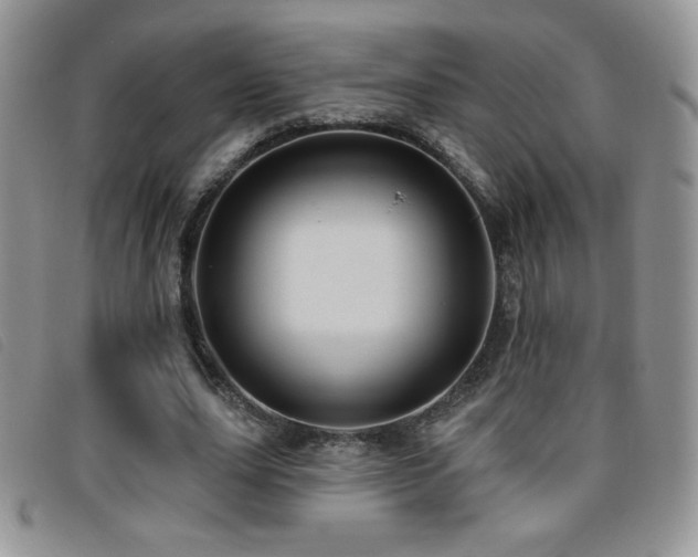 X0000095960631200801111403
