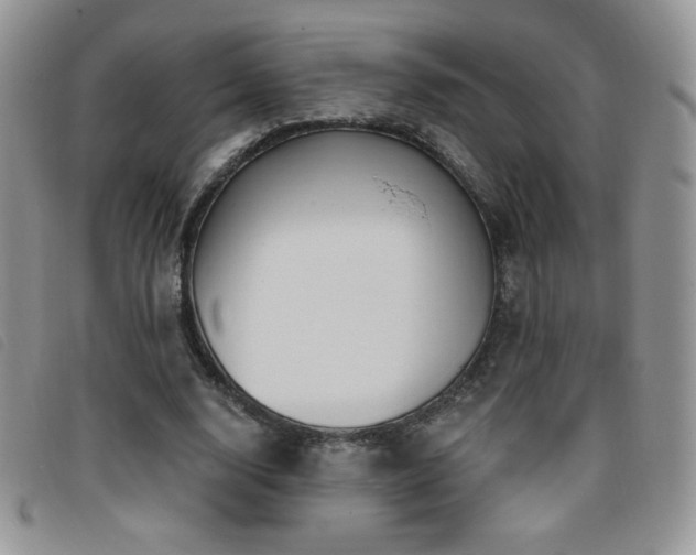 X0000095960632200801111403