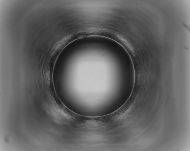 X0000095960633200801111403