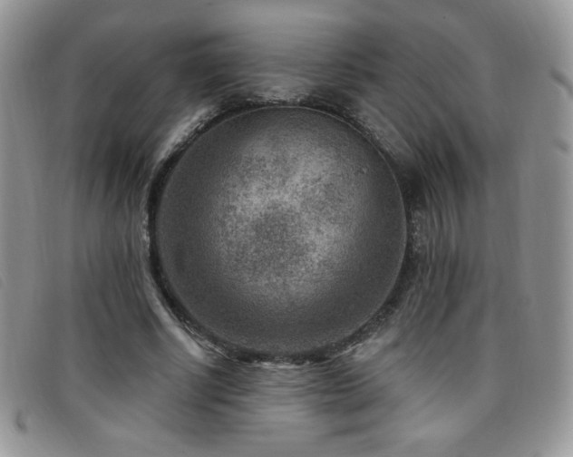 X0000095960634200801111403