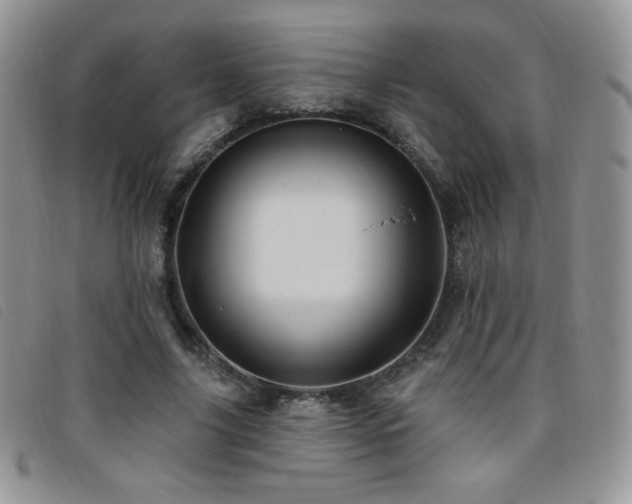 X0000095960635200801111403