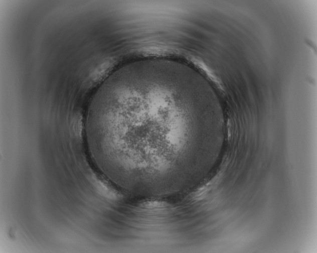 X0000095960637200801111403