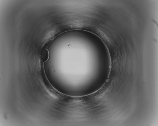 X0000095960638200801111403