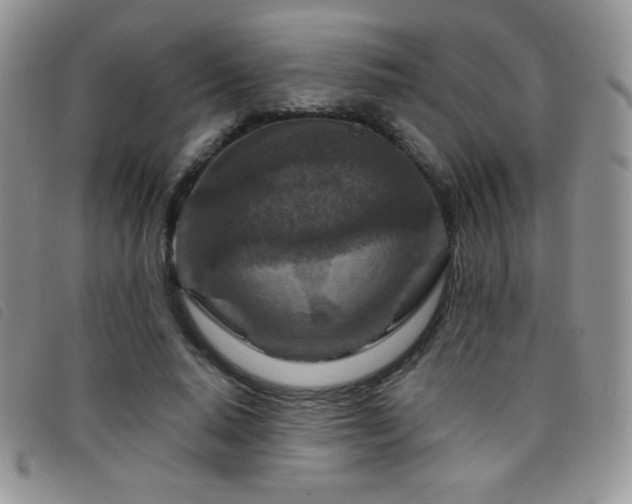 X0000095960640200801111403
