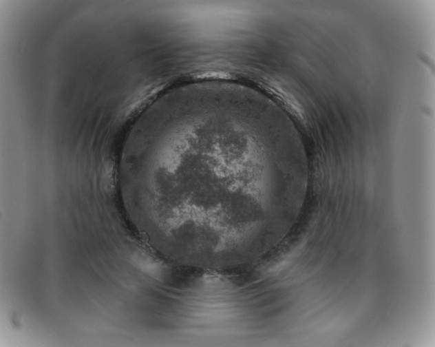 X0000095960641200801111403