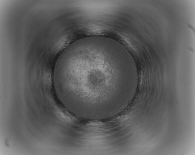 X0000095960642200801111403