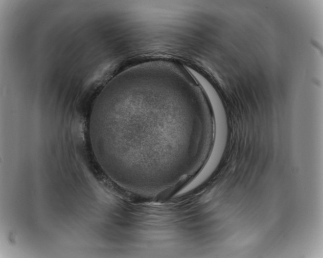X0000095960643200801111403