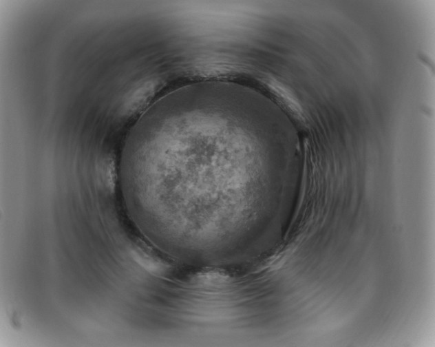 X0000095960644200801111403