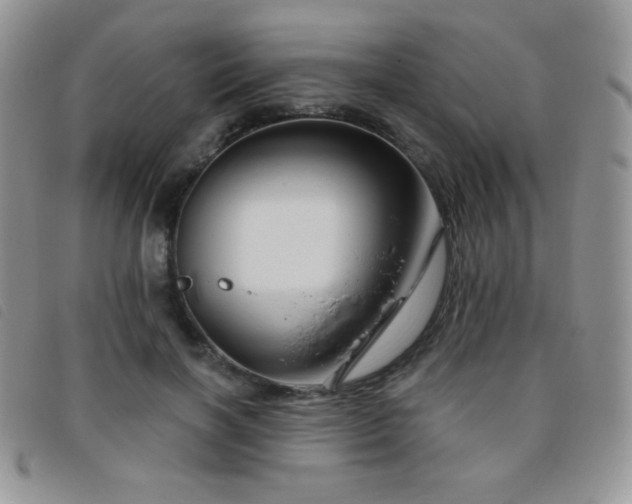 X0000095960646200801111403