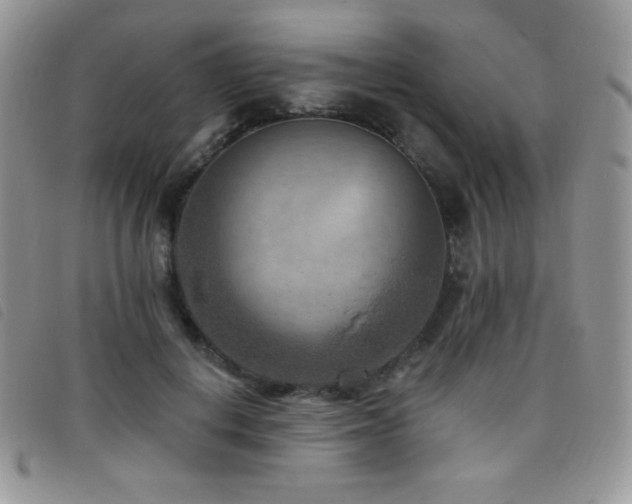 X0000095960648200801111403