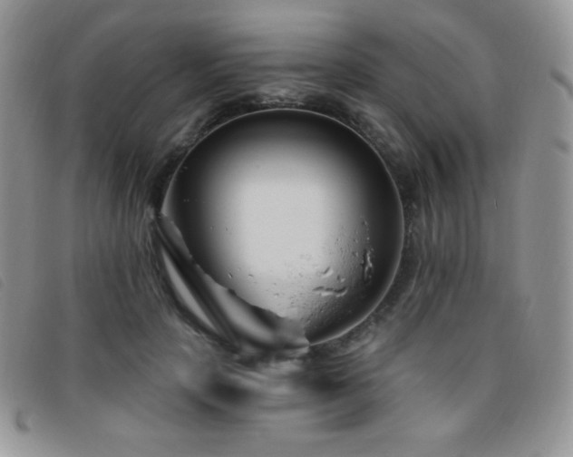 X0000095960649200801111403