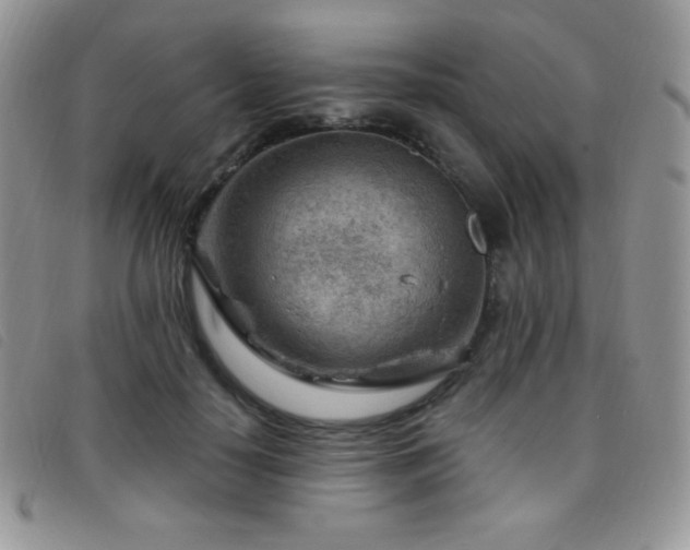 X0000095960650200801111403
