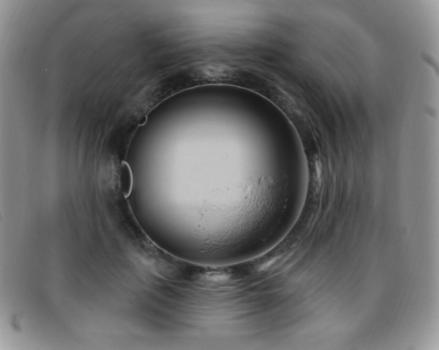 X0000095960651200801111403