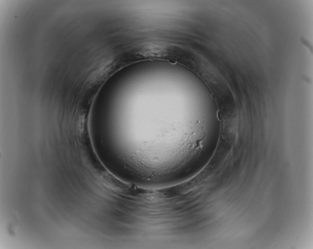 X0000095960652200801111403