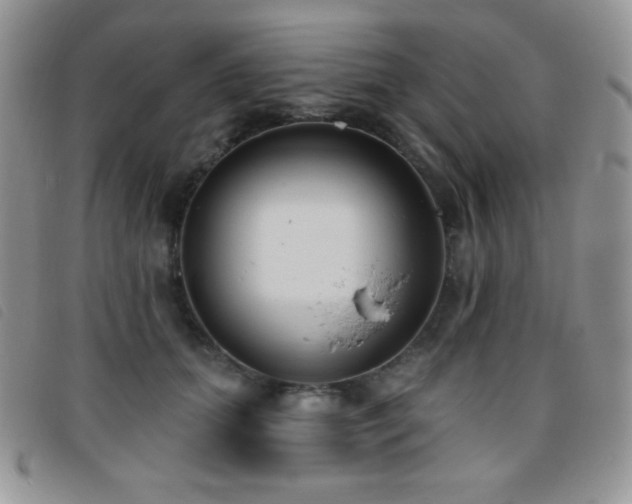 X0000095960655200801111403
