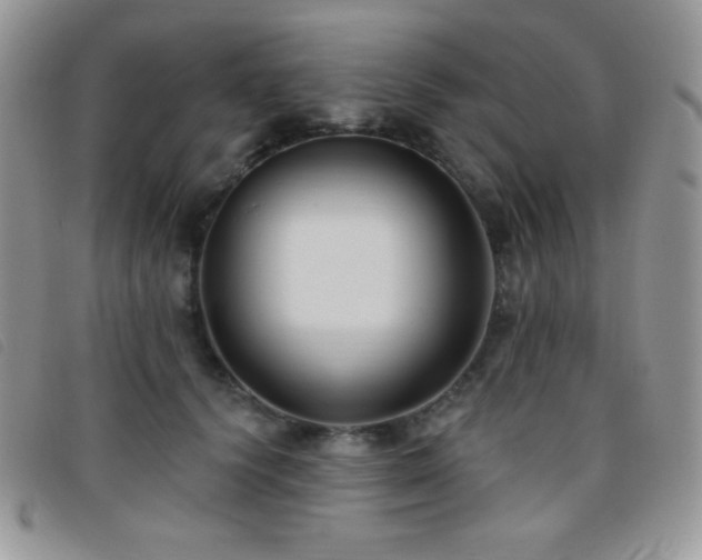 X0000095960656200801111403