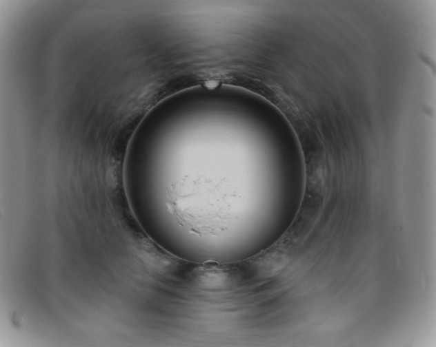 X0000095960658200801111403