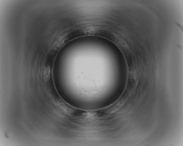 X0000095960660200801111403