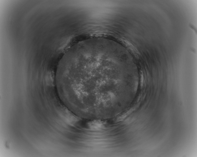 X0000095960661200801111403