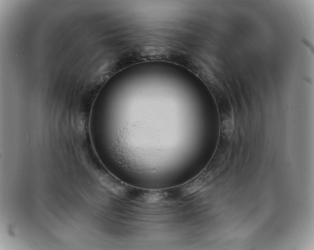 X0000095960662200801111403