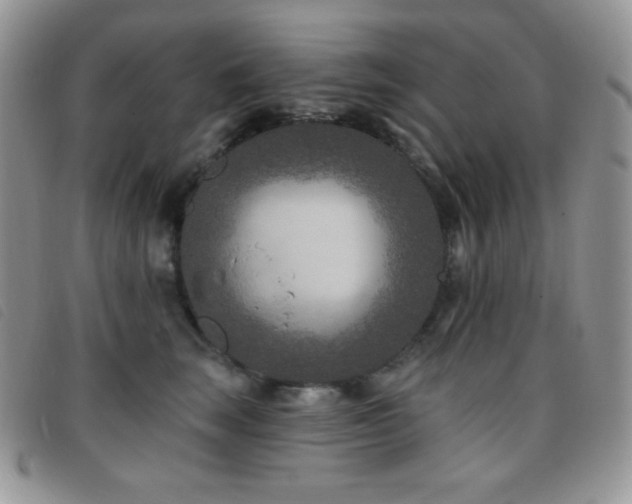 X0000095960663200801111403