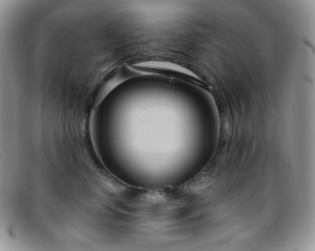 X0000095960668200801111403