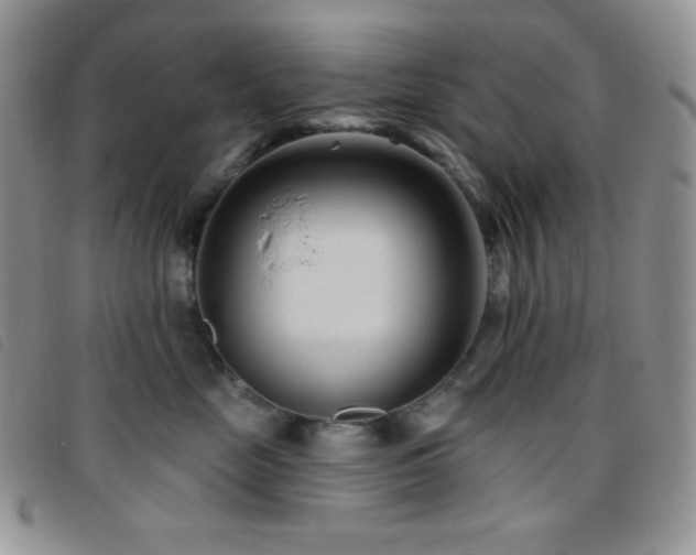 X0000095960669200801111403