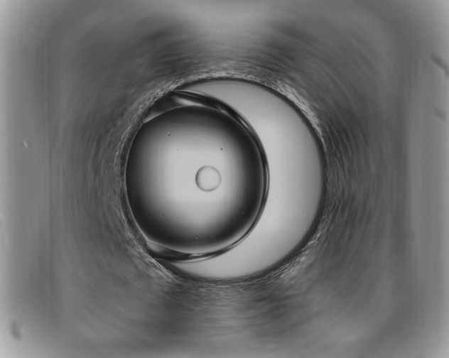 X0000095960673200801111402