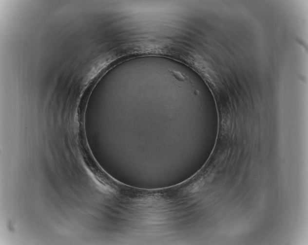 X0000095960674200801111402