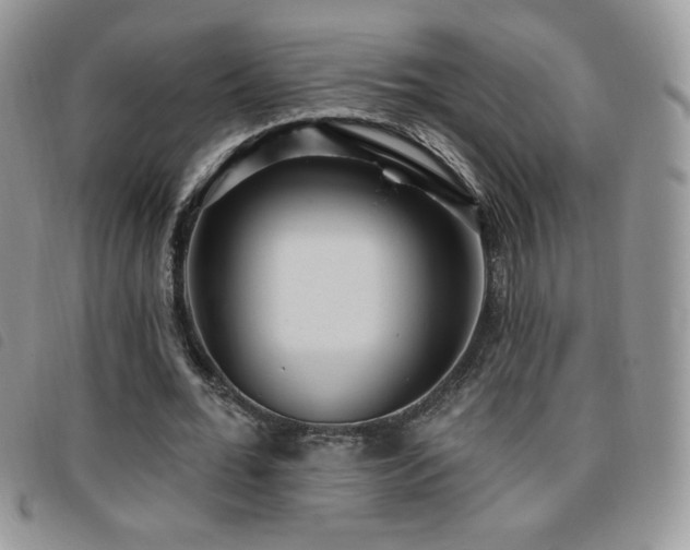 X0000095960676200801111402