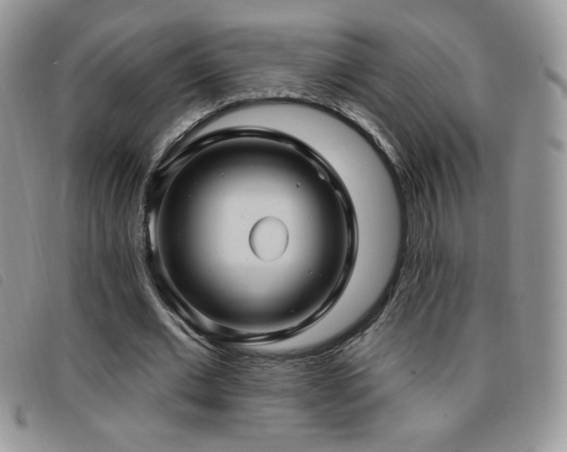 X0000095960677200801111402