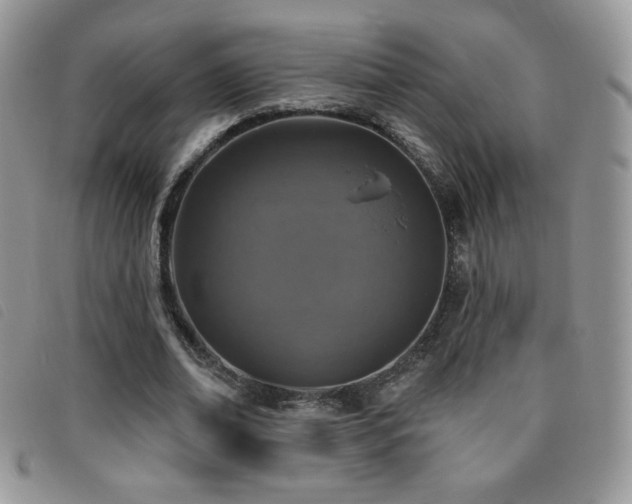 X0000095960678200801111402