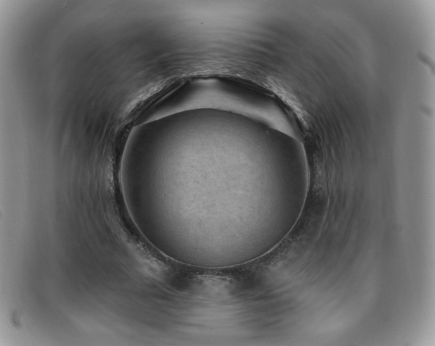 X0000095960681200801111402