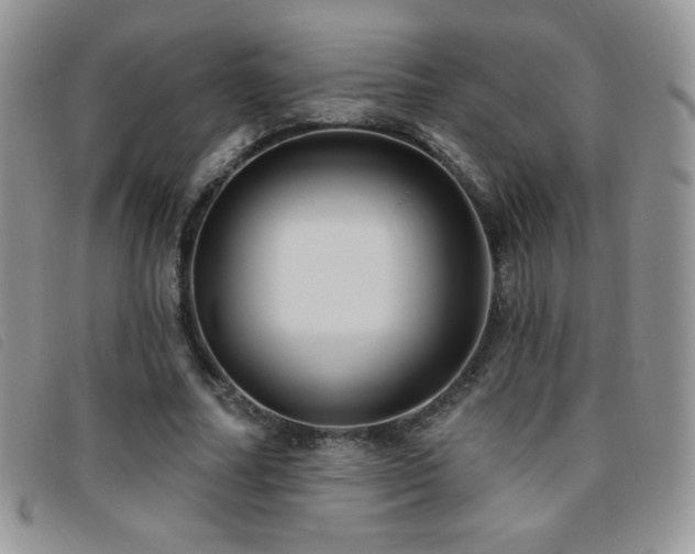 X0000095960682200801111402