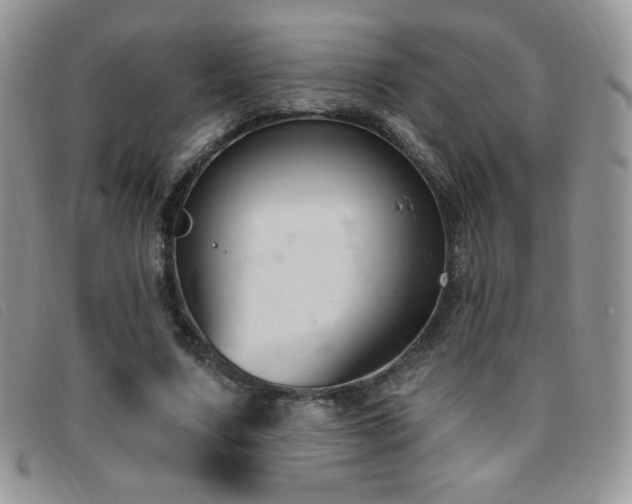 X0000095960683200801111402