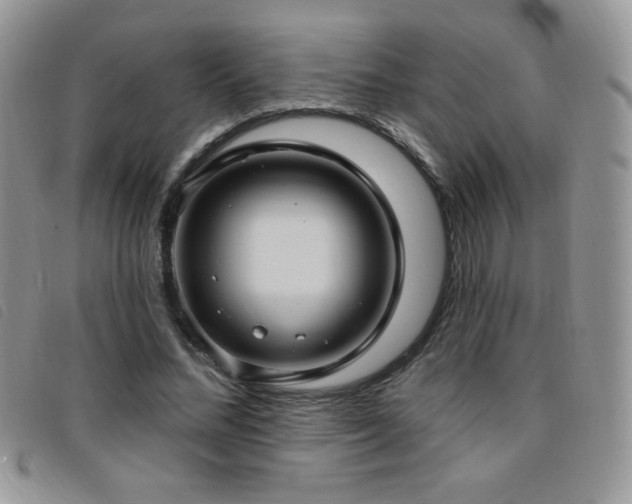 X0000095960684200801111402