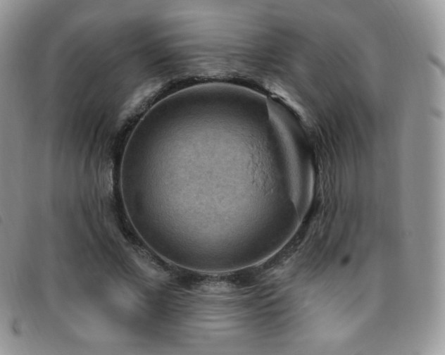 X0000095960685200801111402