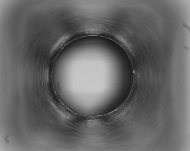 X0000095960686200801111402