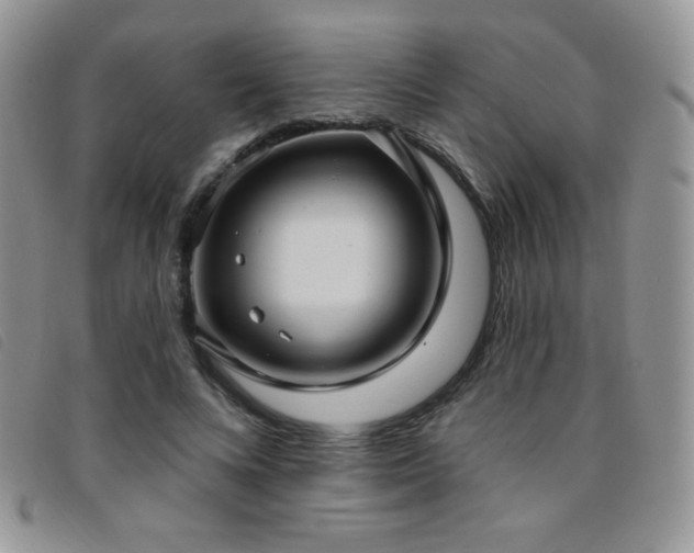X0000095960688200801111402